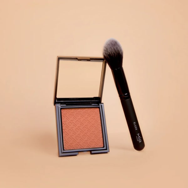 FACE BRUSH BLUSH