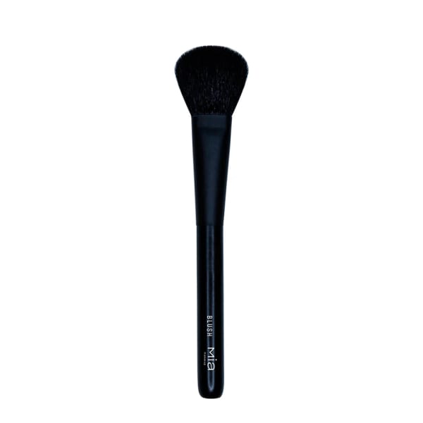 FACE BRUSH BLUSH