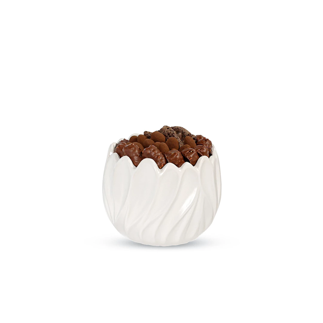 Rose des sables P