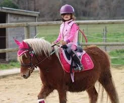 Balade poney au VGK Village de Mohammedia