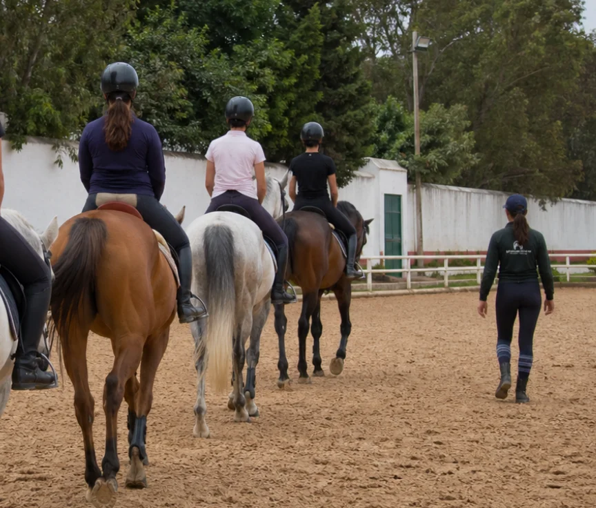 Cours d'équitation (cheval) au Club Équestre Dar Essalam de Rabat