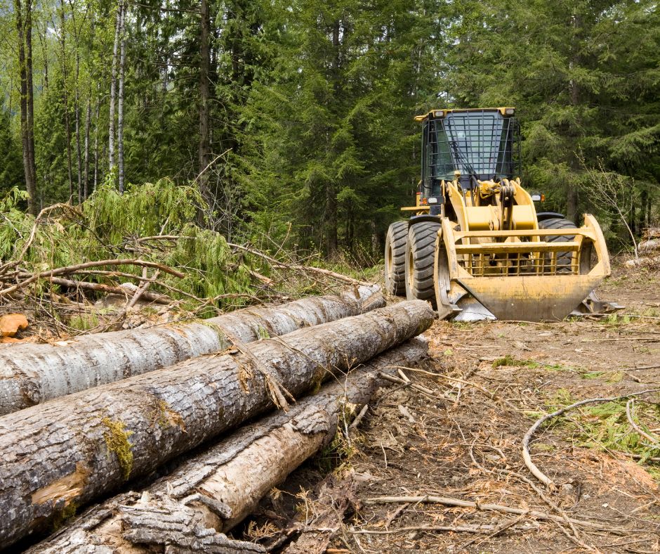 Wheel loader being used to move logs on a land clearing project