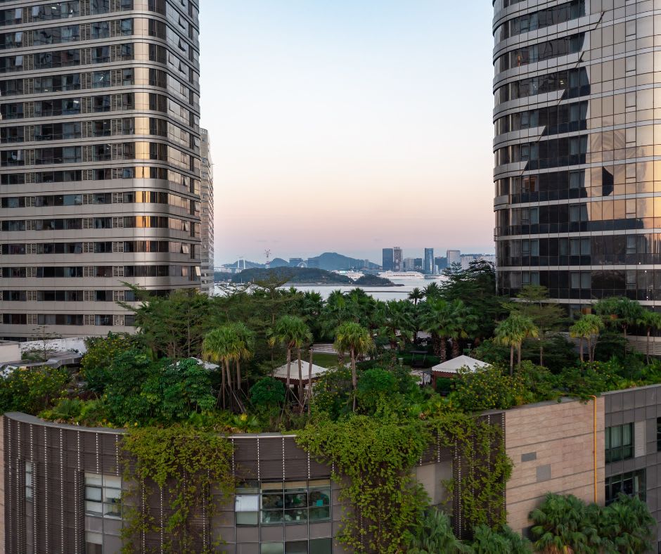 Intensive green roof