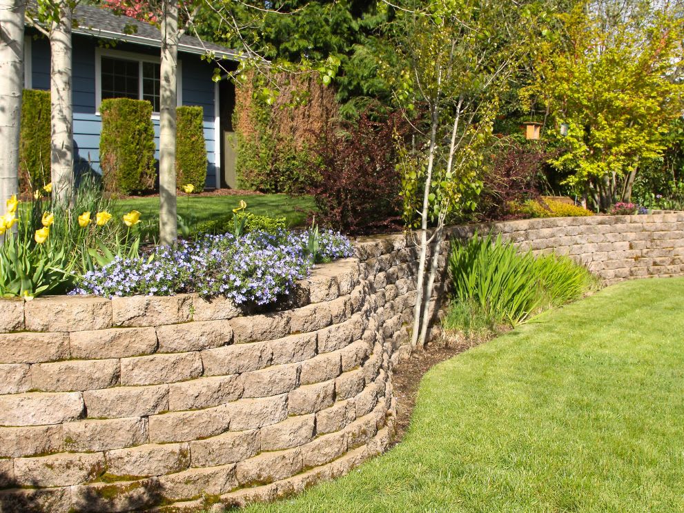 retaining wall in a backyard garden