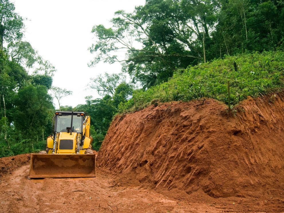 Wheel loader clearing land for a road in the wild