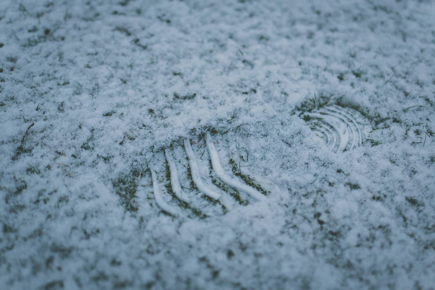 foot print in snow