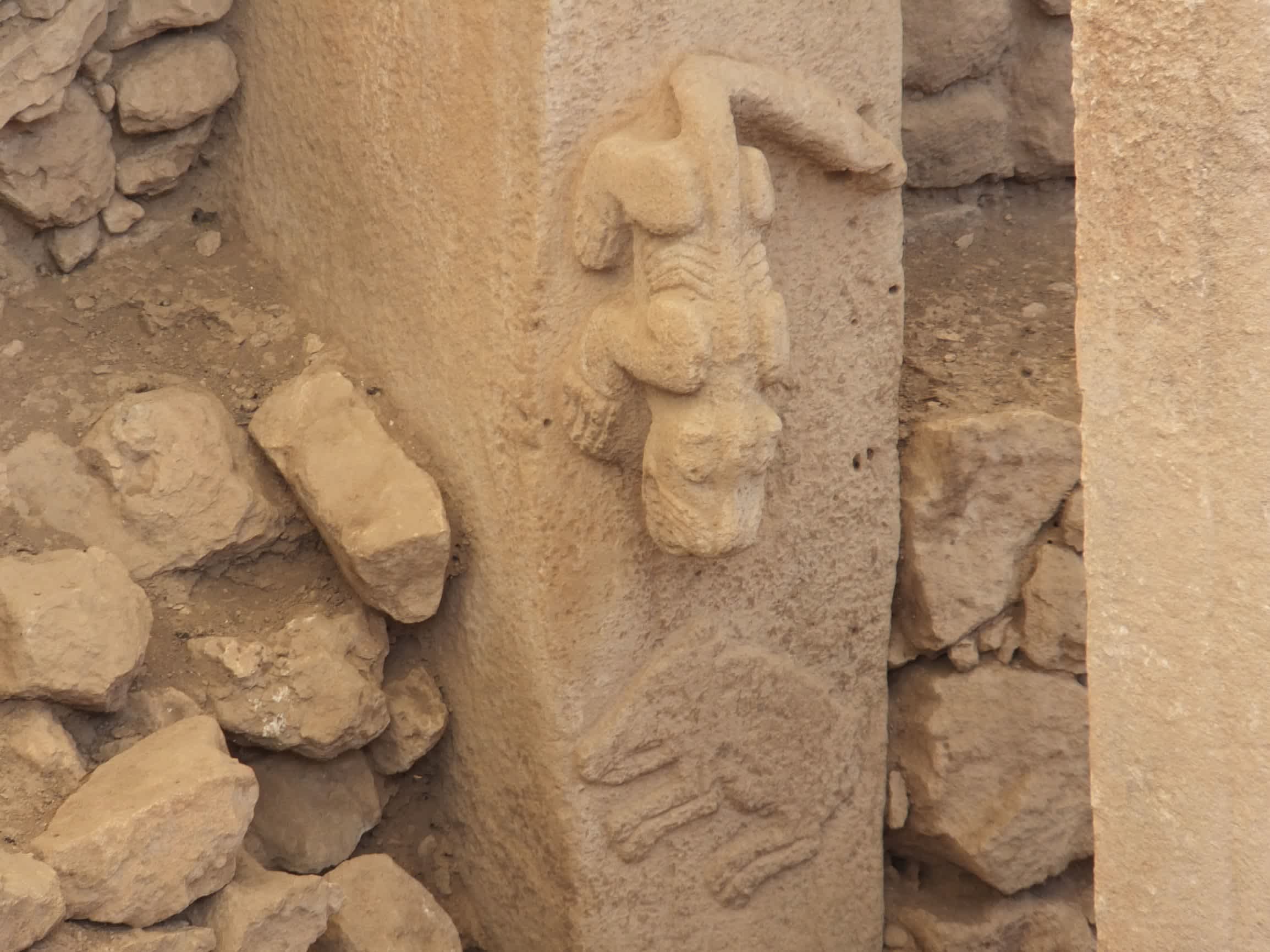 animal carvings at gobekli tepe