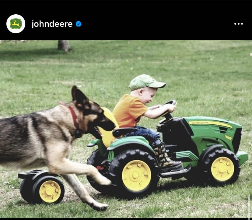 dog chasing child on a small john deere tractor