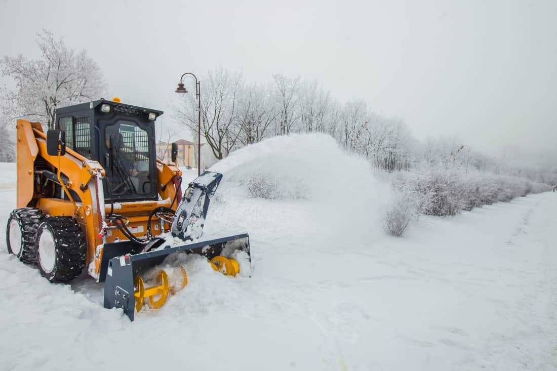 Winter Image