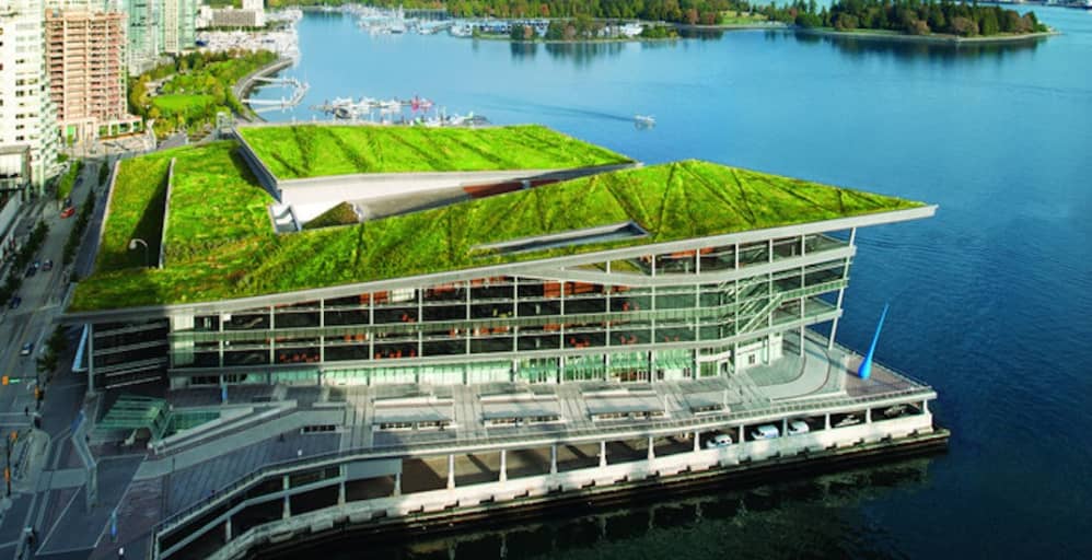 Building with grass on the roof