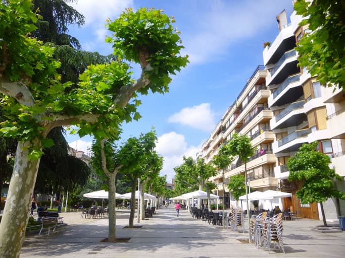 Building on a greenery covered road