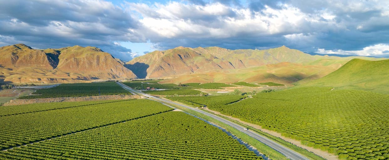 Landscape photo of mountains and farms near bakersfiled california