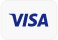 Visa Logo