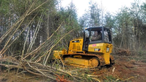 dozer pushing down trees in a field