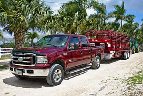 pickup truck in florida