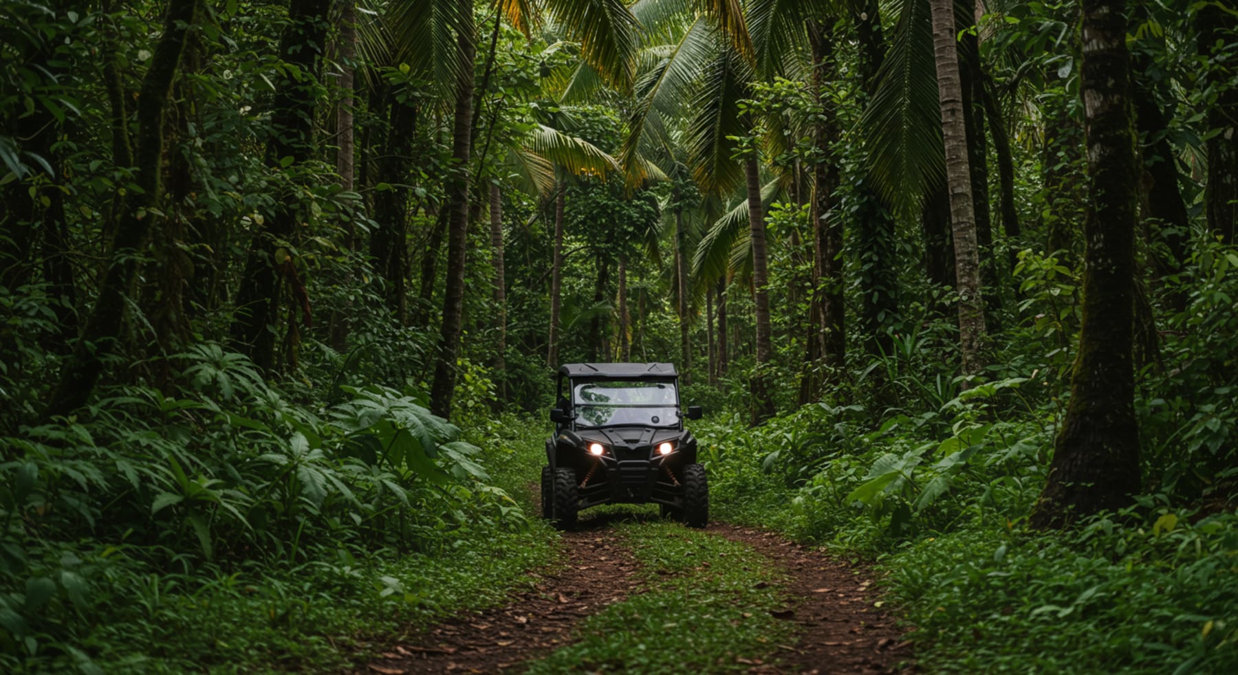 UTV through jungle