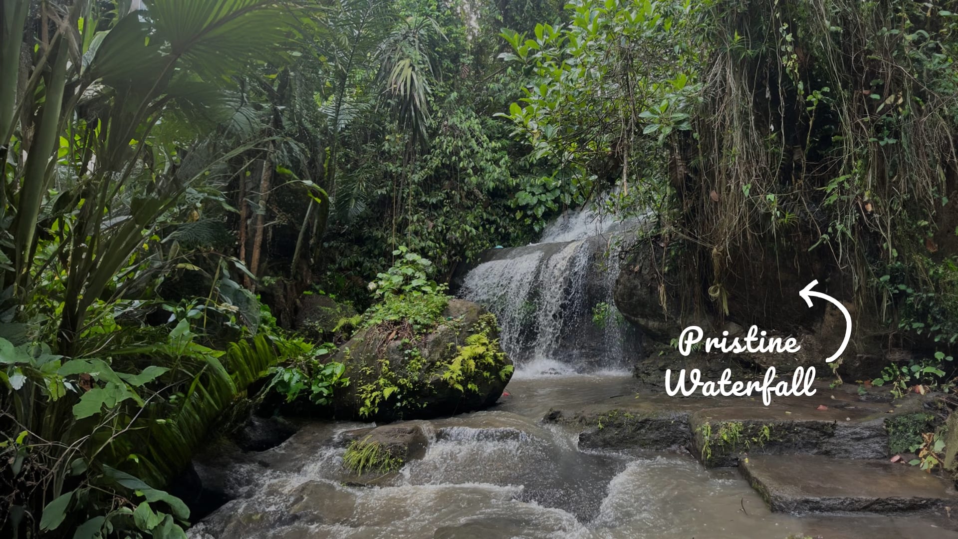 Pristine Waterfall