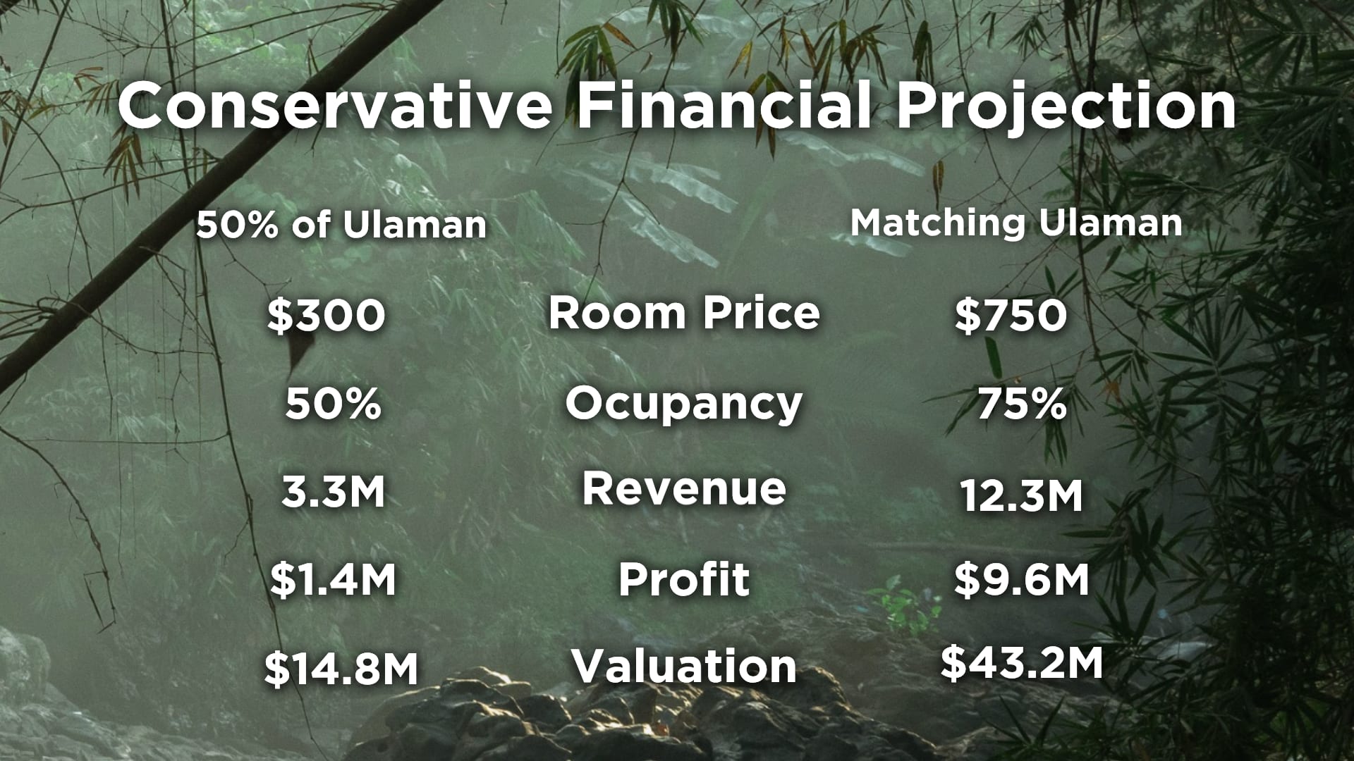 Conservative financial projection