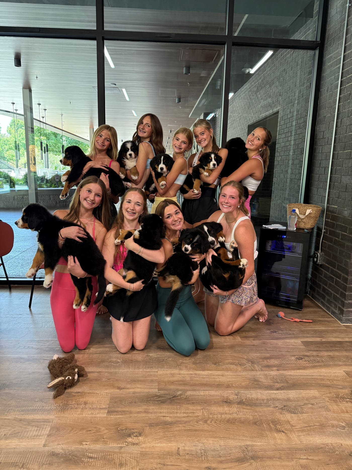Private puppy yoga group with Bernese Mountain Dog puppies at Grandscape