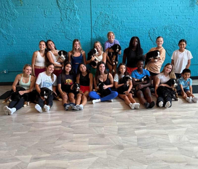 Group puppy yoga class with Bernese Mountain Dog puppies at Grandscape