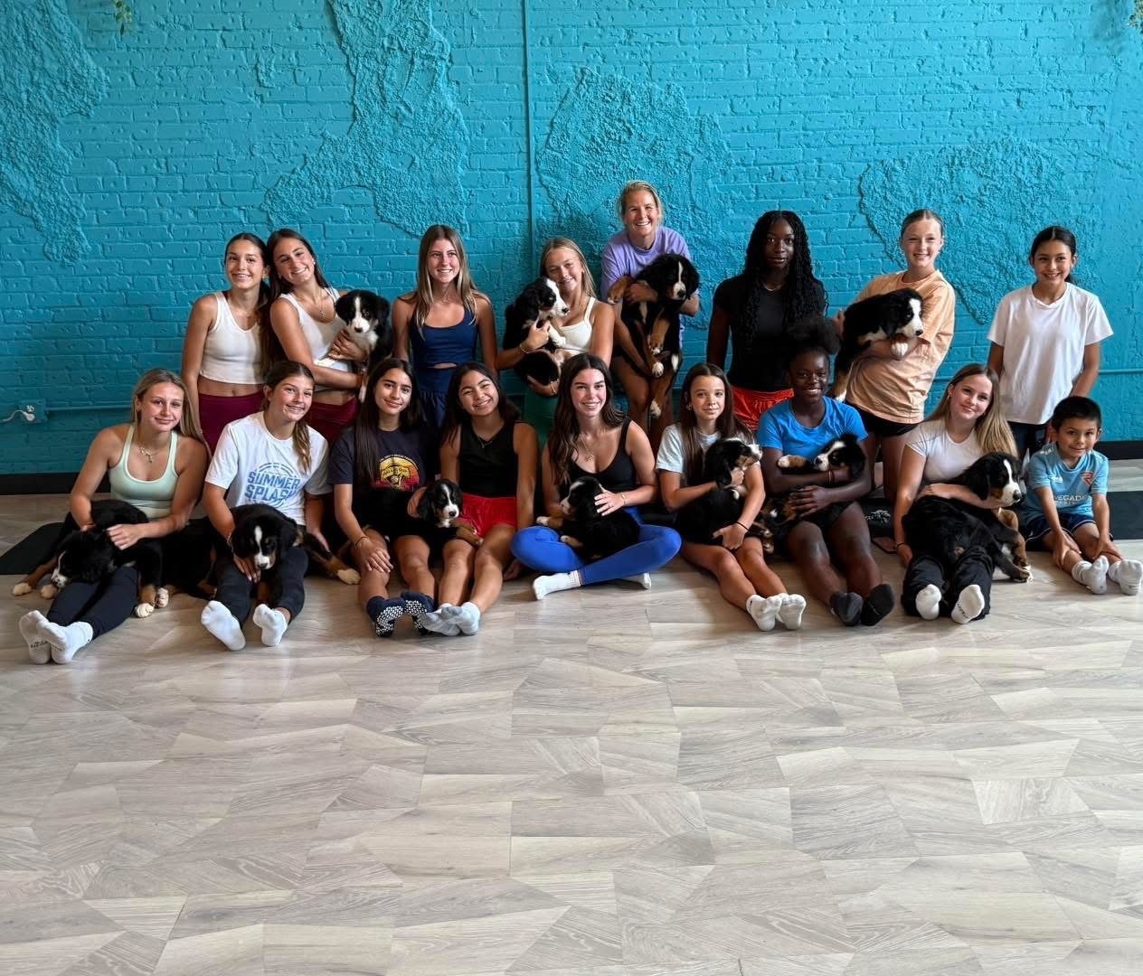 Private puppy yoga group with Bernese Mountain Dog puppies at Grandscape