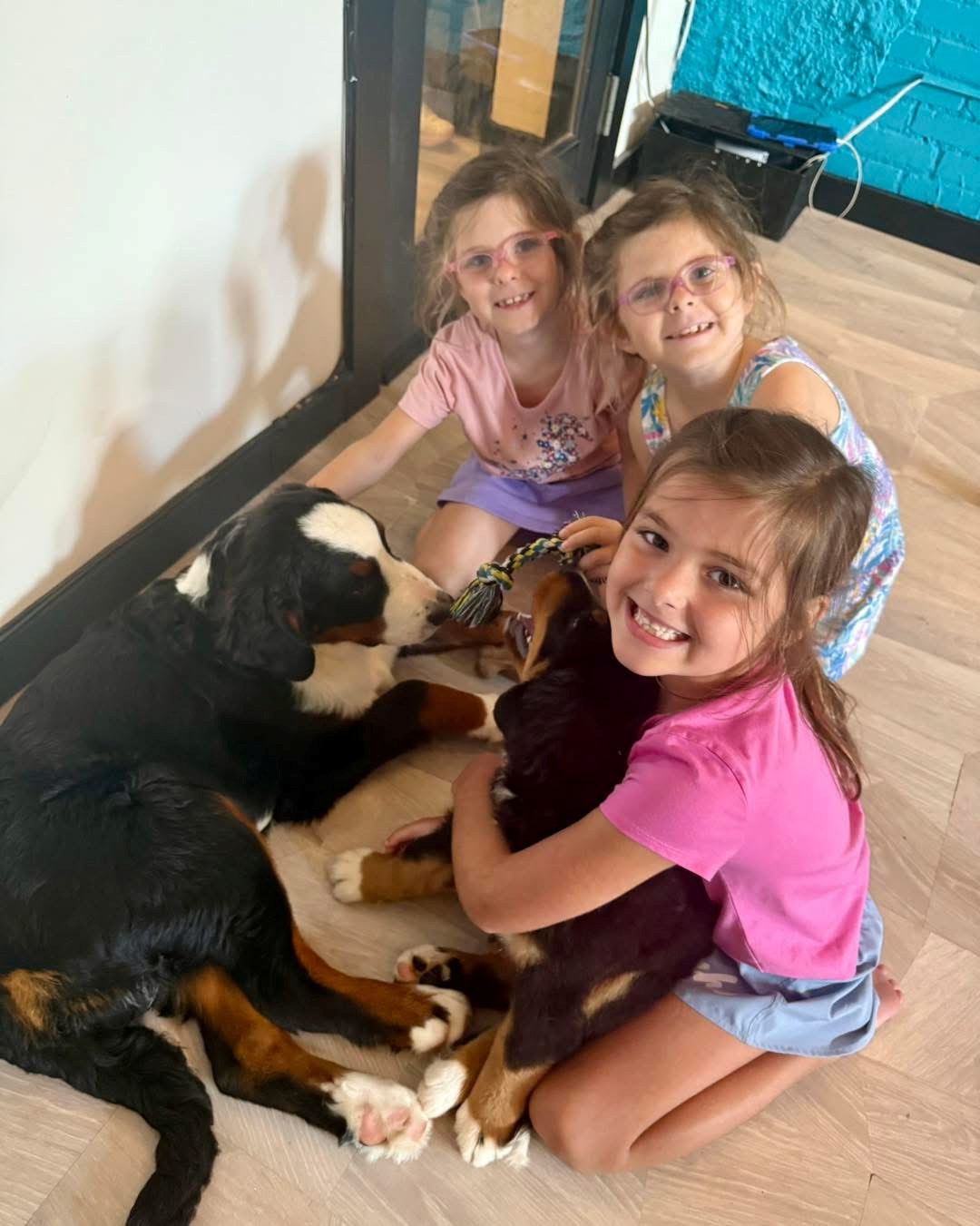 Birthday guests sitting with Bernese Mountain Dog puppies at Downward Dog Puppy Yoga