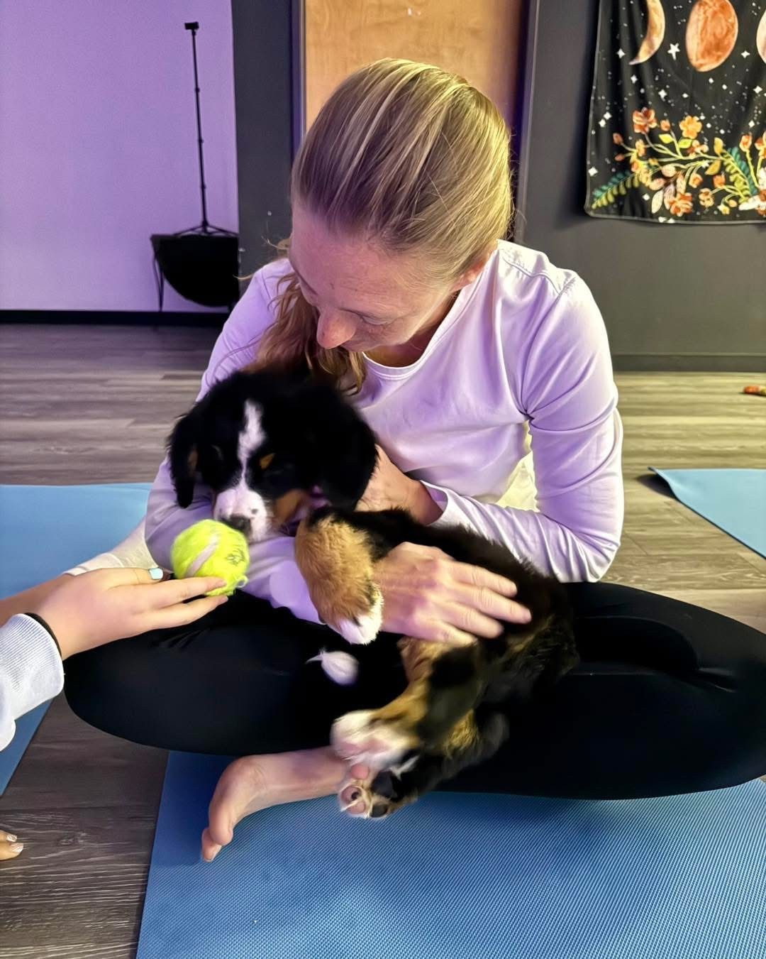 Guest cuddling a Bernese Mountain Dog puppy during a birthday party
