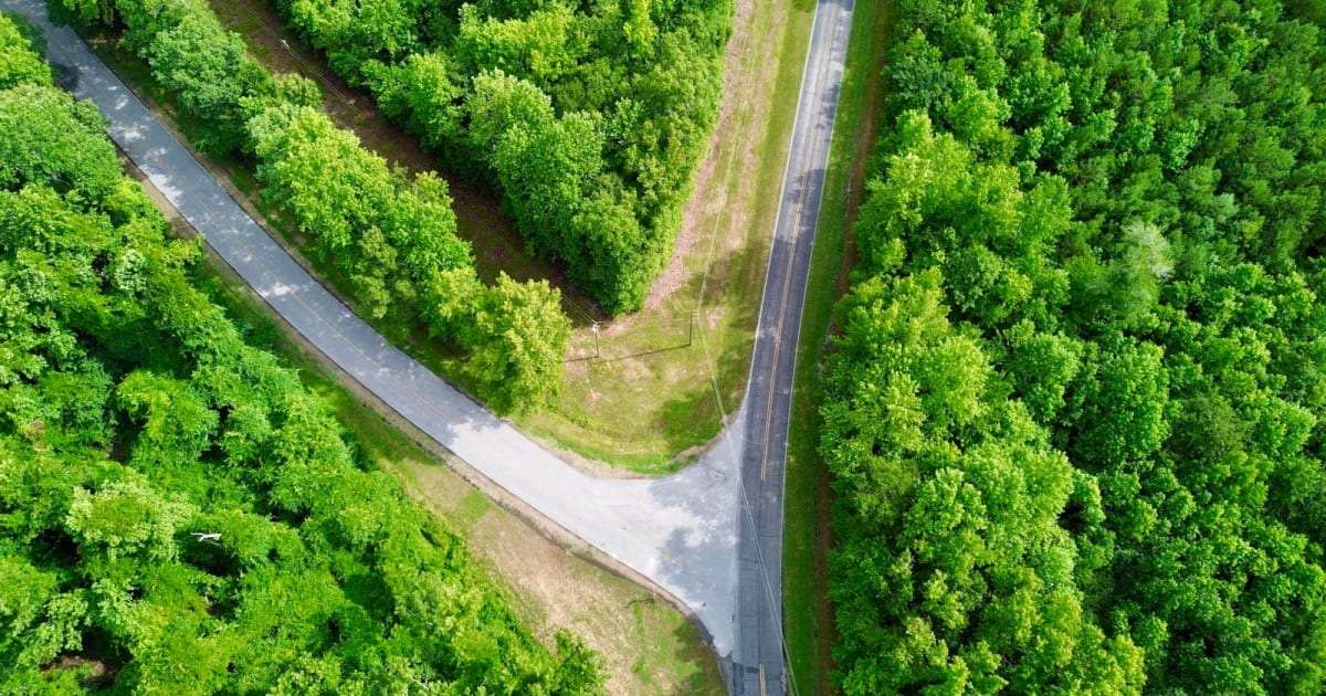 Aerial view of a paved road splitting into two directions through dense green forest