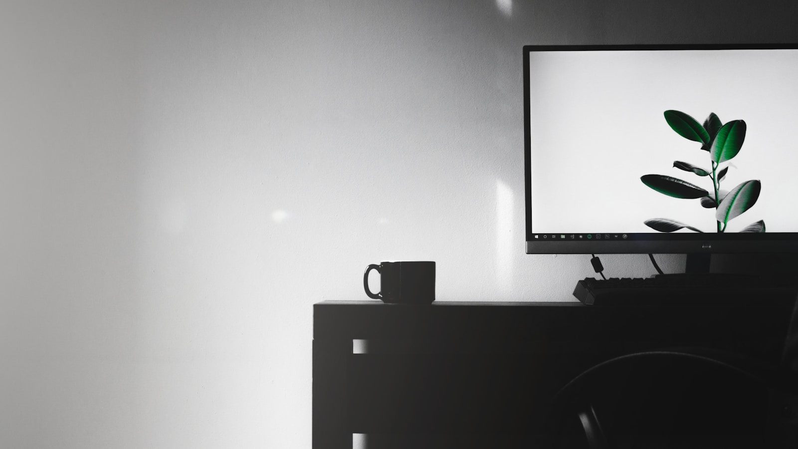 Minimal desk with a desktop computer and green plant