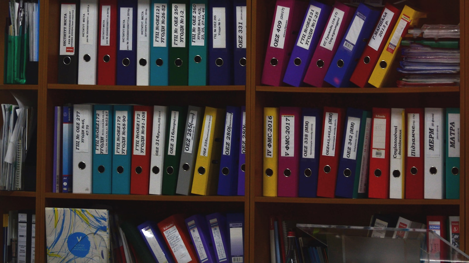 Shelves filled with organized document binders