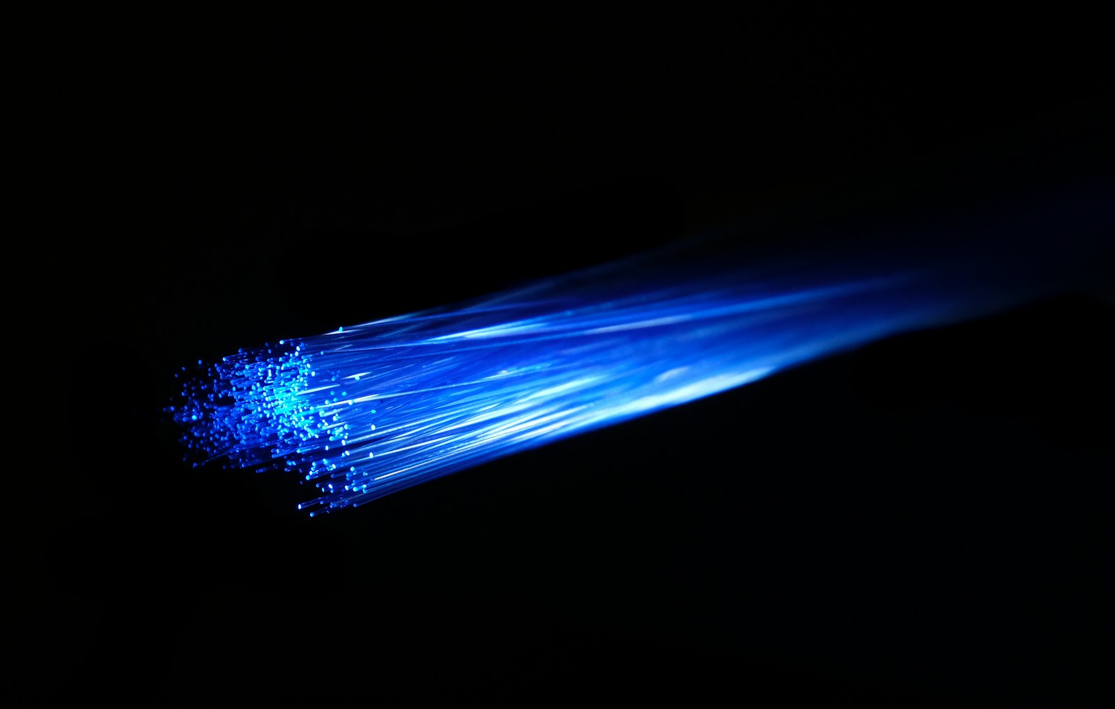 A bundle of glowing blue fiber optic strands against a black background