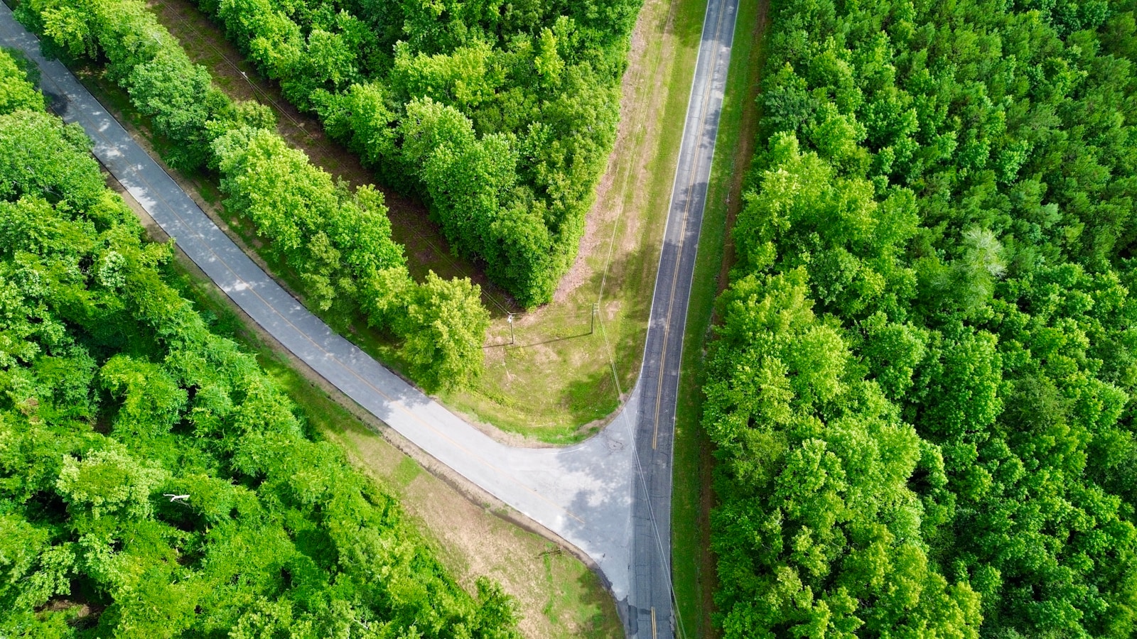 Aerial view of a paved road splitting into two directions through dense green forest
