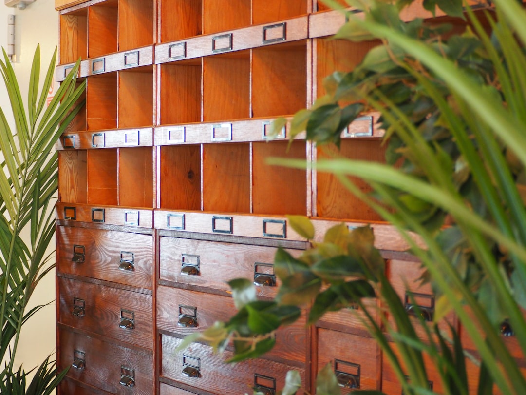 Empty wooden pigeonhole mail slots partly obscured by a green plant