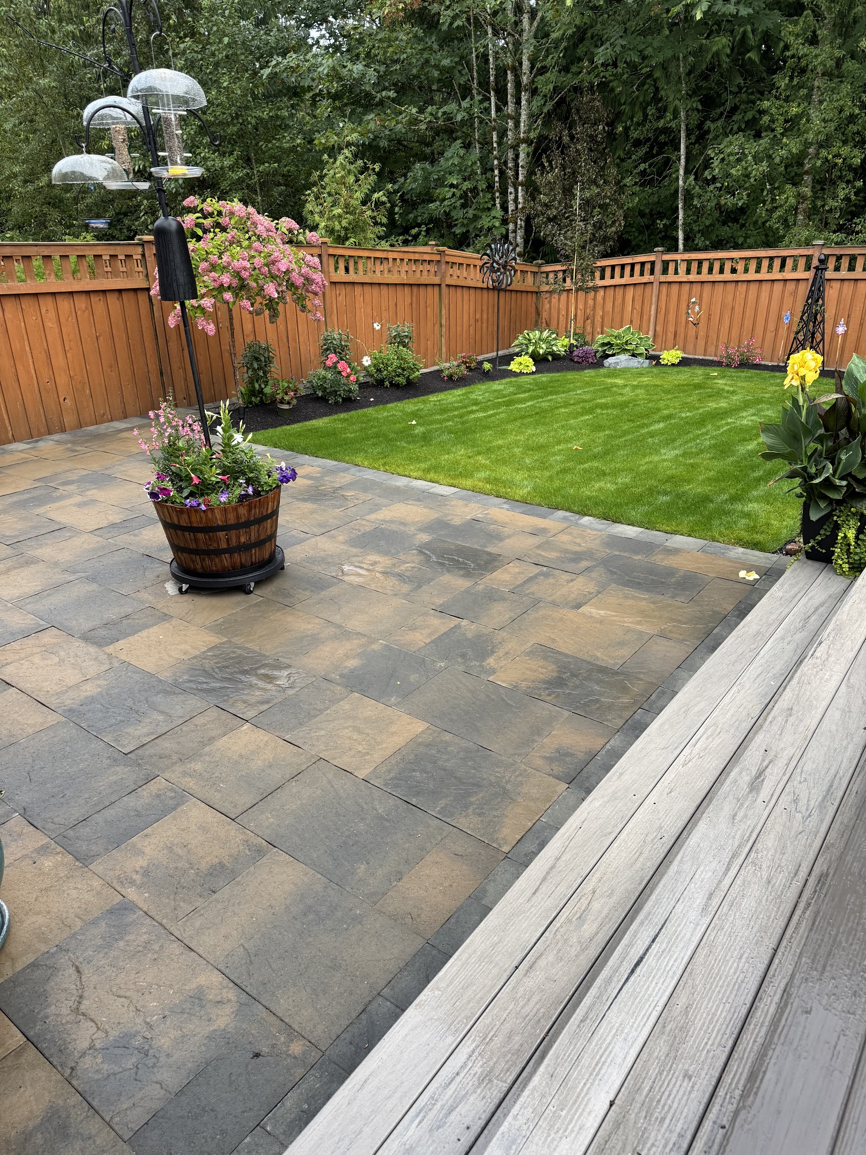 Todd's Nursery patio with hydrangeas and lush lawn in Puyallup, WA