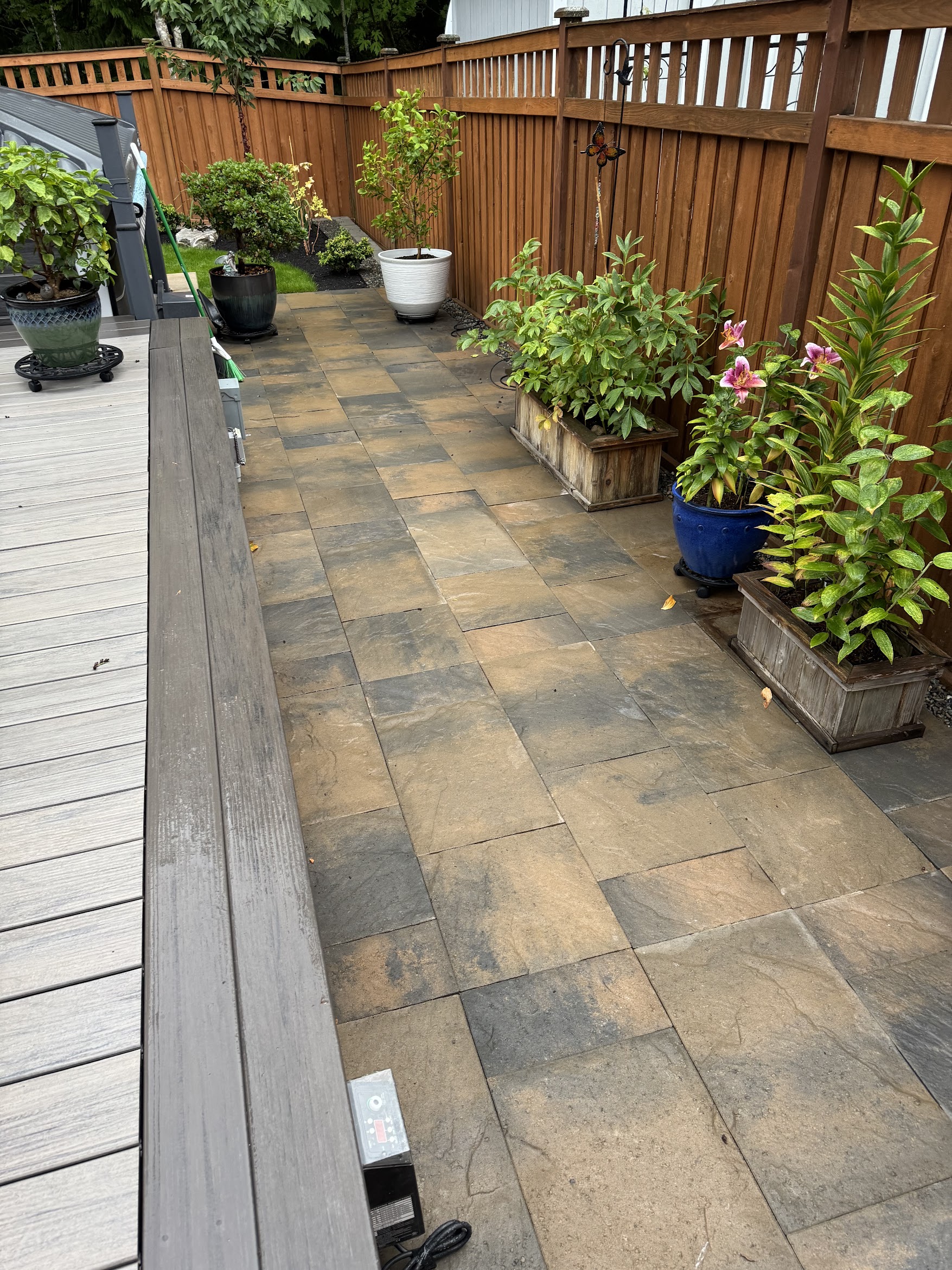 Patio with pavers, potted plants, and wooden fence by Todd's Nursery in Puyallup, WA