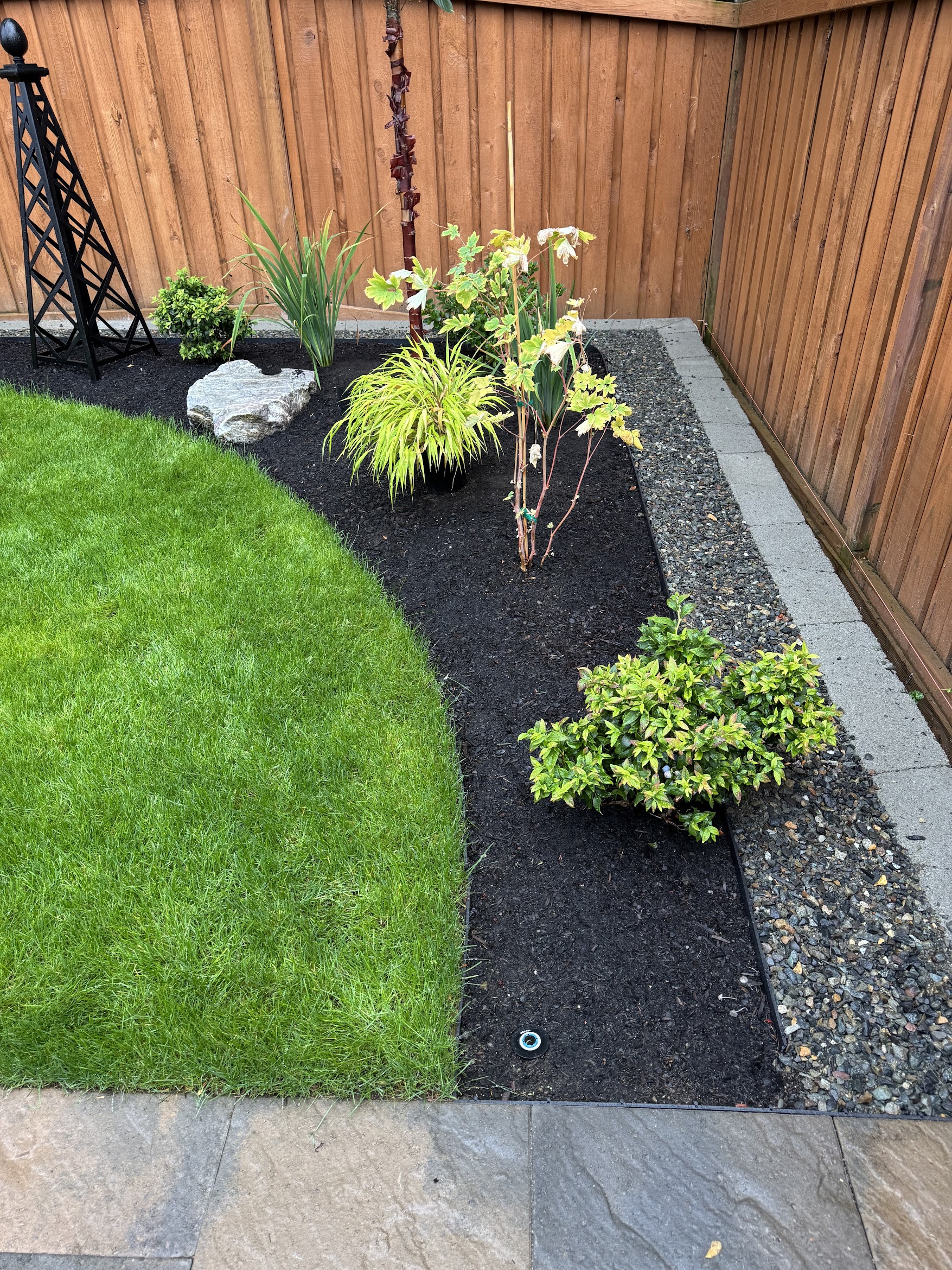 Garden corner with ornamental grasses and shrubs at Todd's Nursery in Puyallup, WA