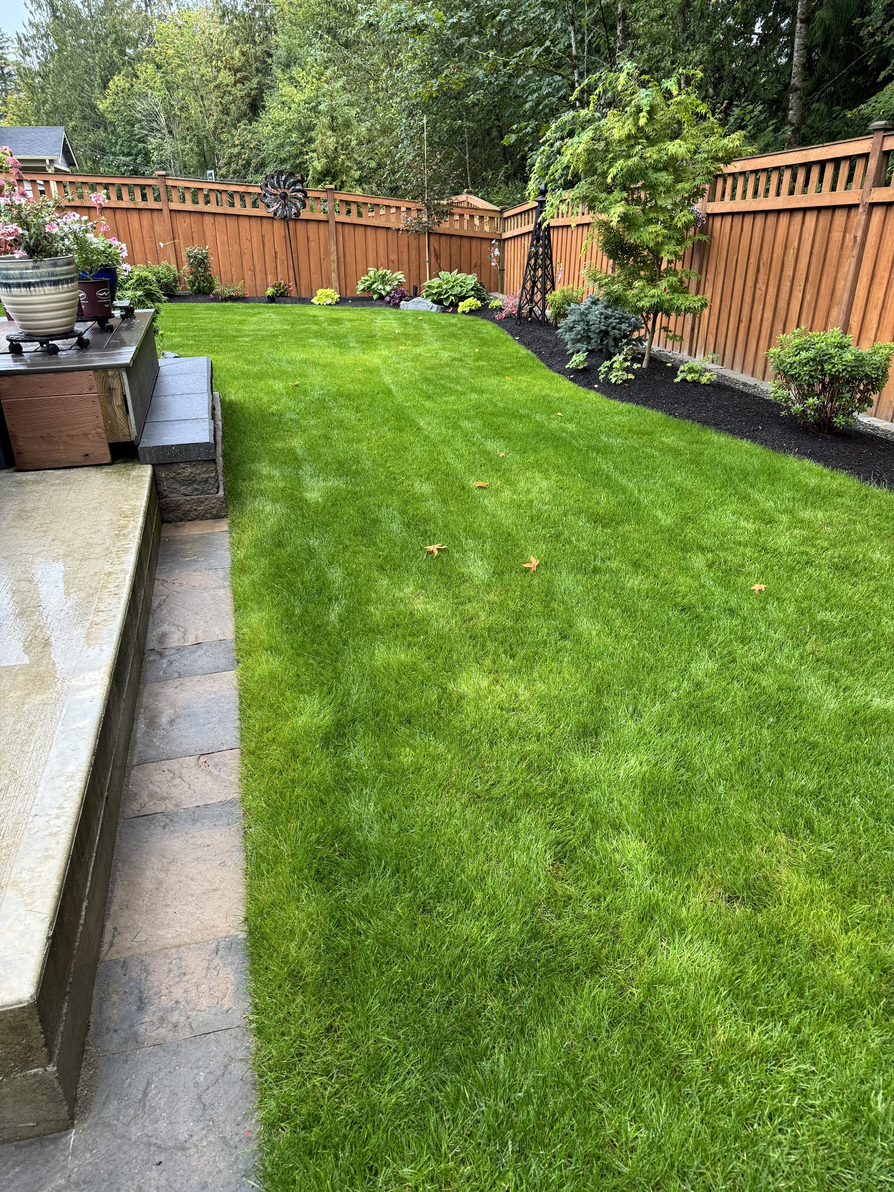 Lush green lawn, shrubs, and patio by Todd's Nursery in Puyallup, WA