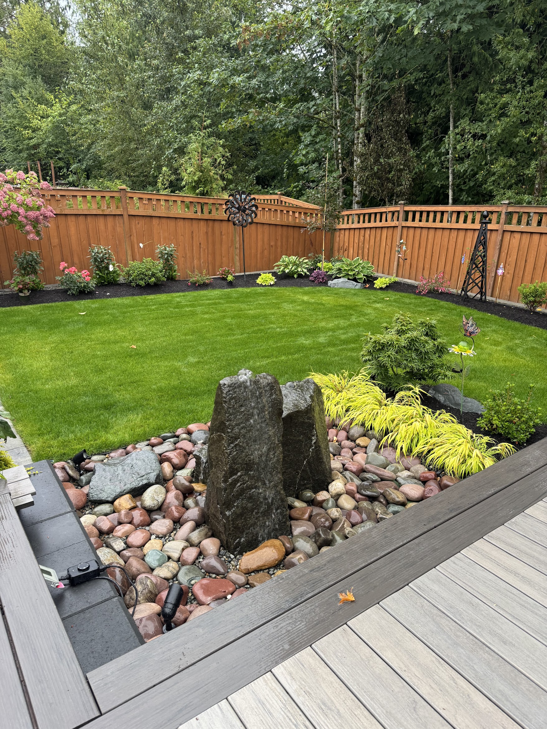 Lush backyard with water feature, hostas, and vibrant plants at Todd's Nursery in Puyallup, WA.