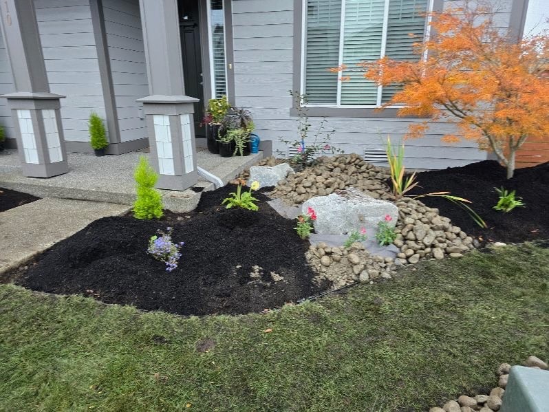 Front yard landscaping by Todd's Nursery in Puyallup featuring a Japanese maple, rocks, and vibrant plantings.
