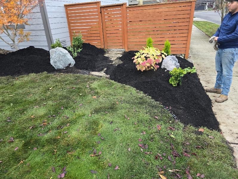 Garden transformation with new plantings and mulch by Todd's Nursery in Puyallup, WA.