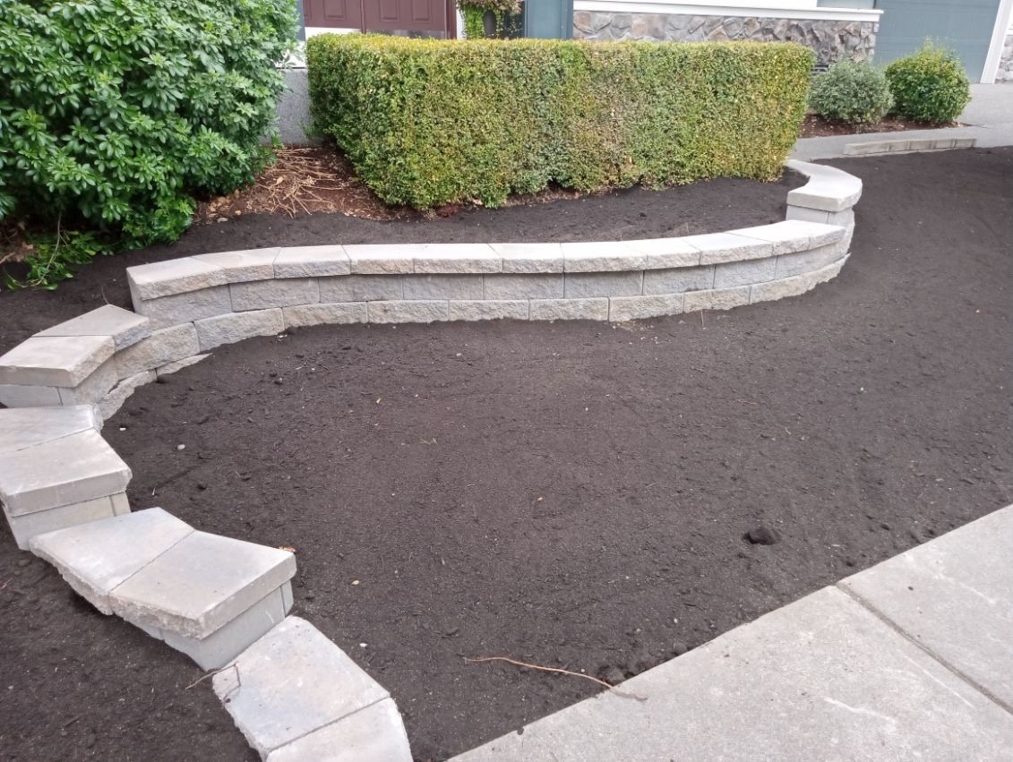 Curved stone retaining wall with boxwood hedges at Todd's Nursery in Puyallup, WA.