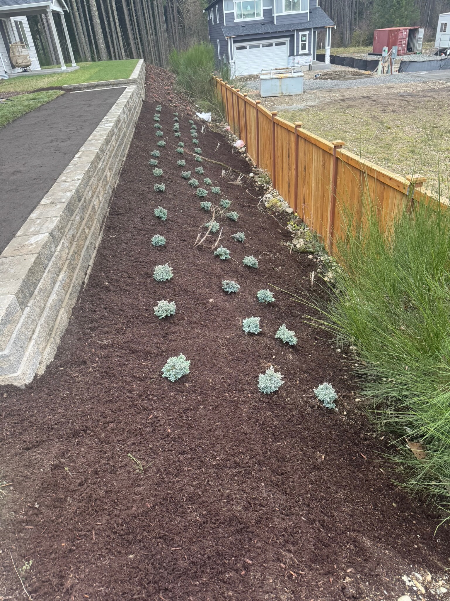 Retaining wall and new plantings at Todd's Nursery in Puyallup, WA