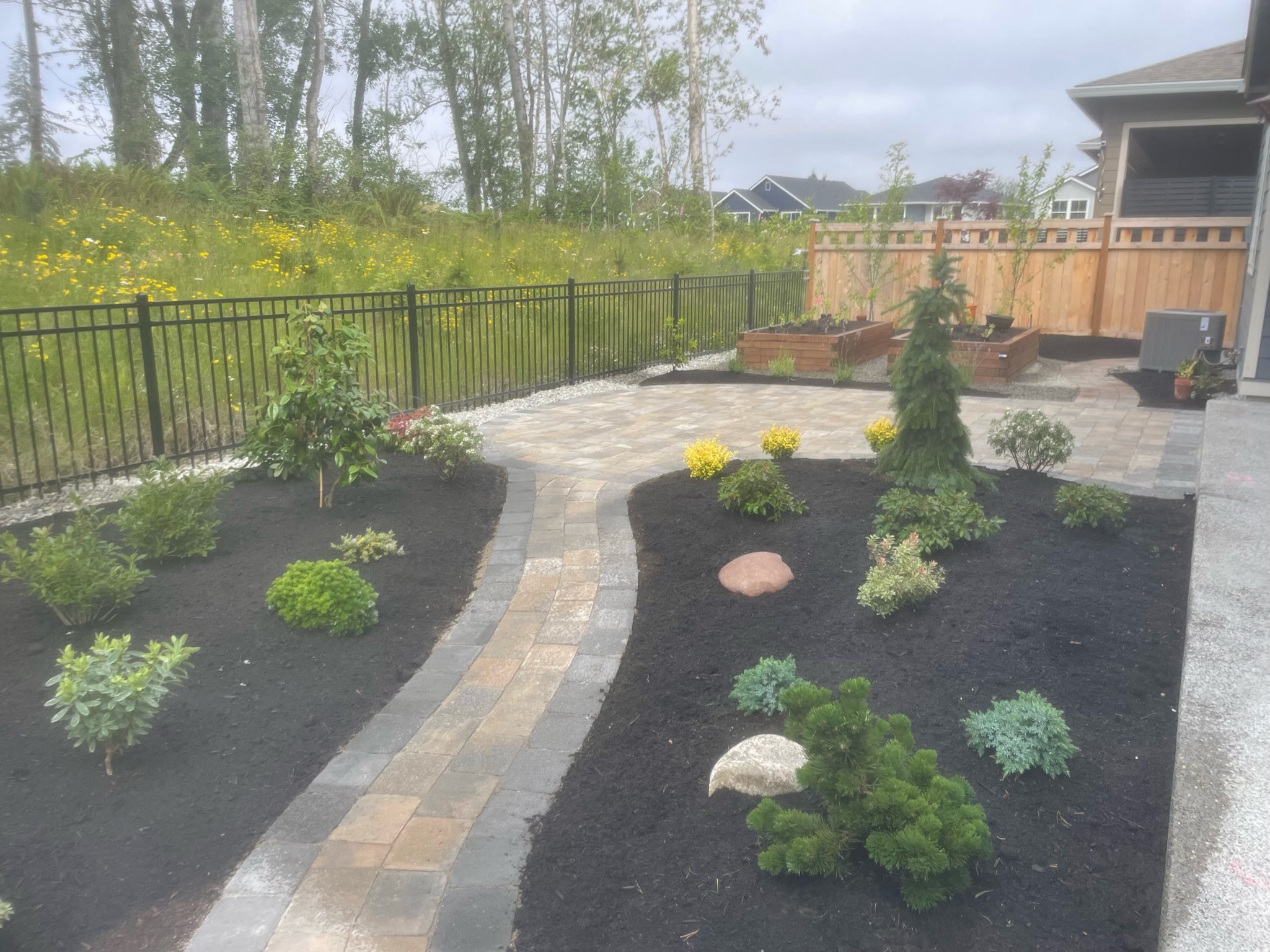 Landscaped patio with evergreens, stone path, and raised beds by Todd's Nursery in Puyallup, WA.
