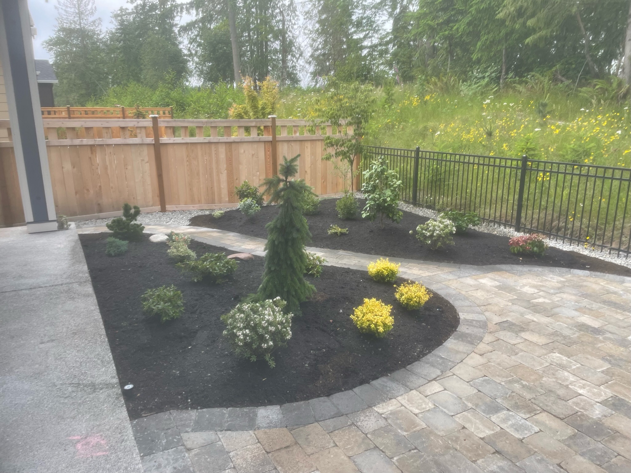 Patio with diverse plantings and stone path at Todd's Nursery, Puyallup, WA