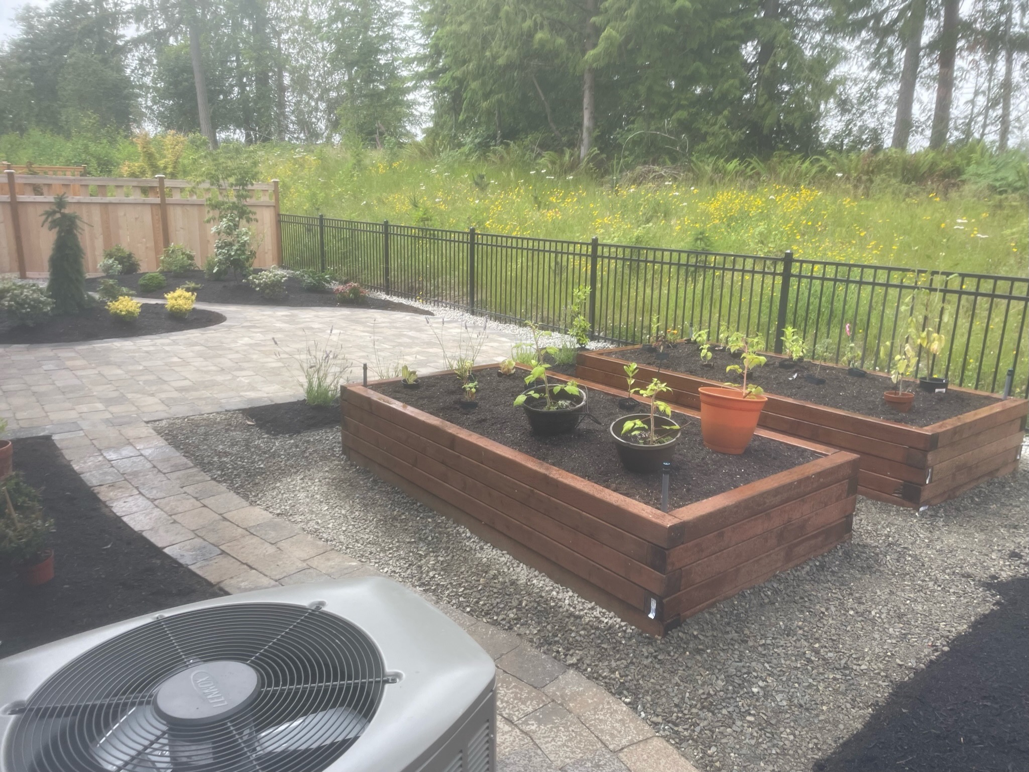Patio with pavers, raised garden beds, and plants by Todd's Nursery in Puyallup, WA.