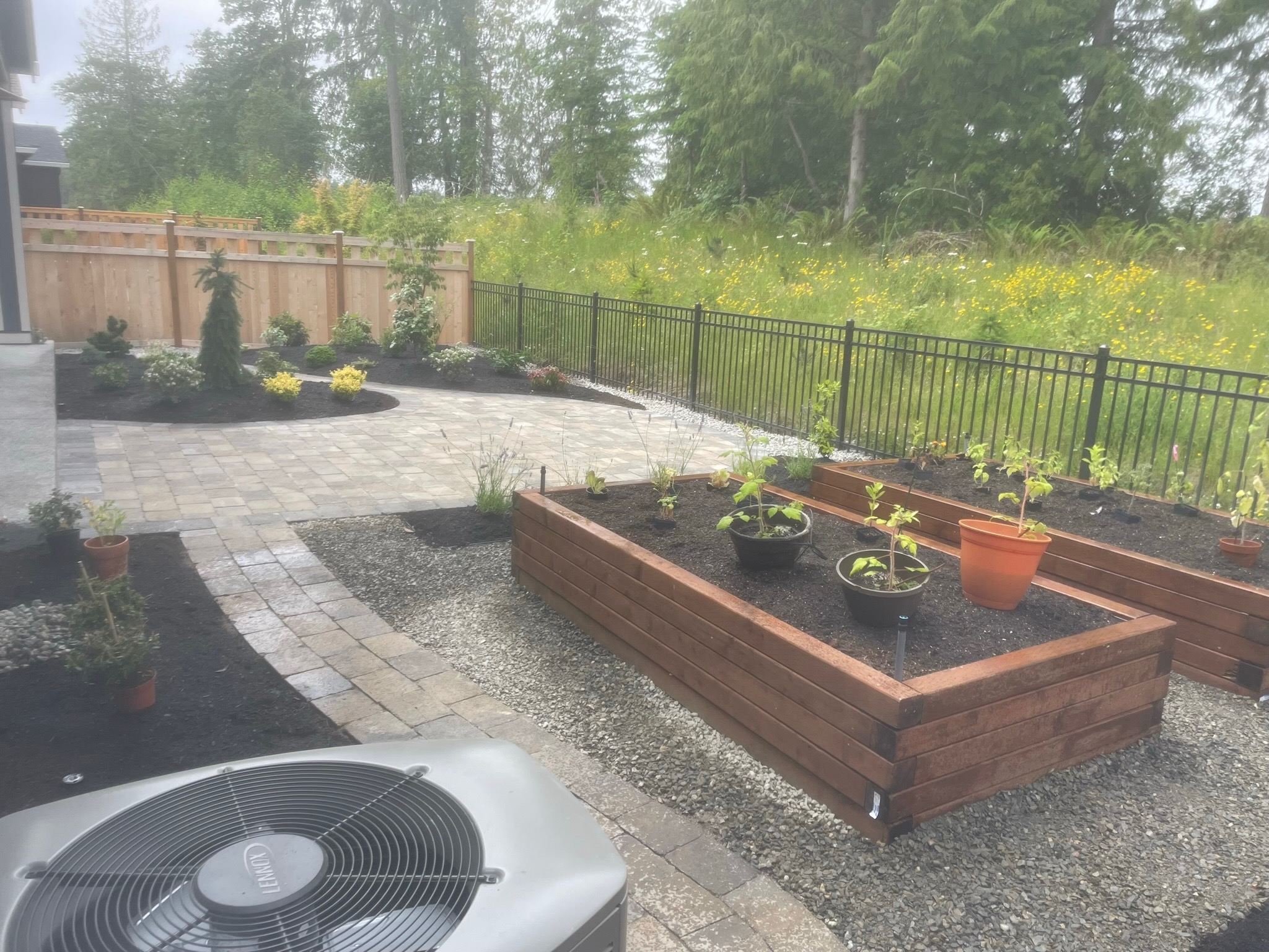 Modern patio with pavers, raised wooden garden beds, and various plants by Todd's Nursery in Puyallup, WA.