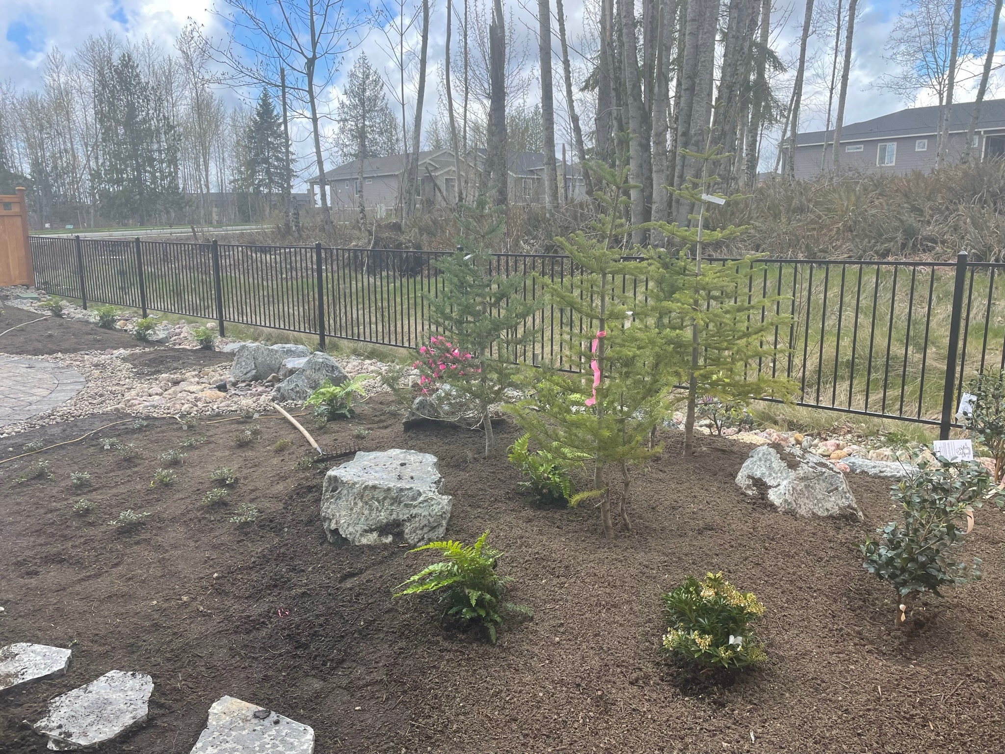 Todd's Nursery garden with evergreens, boulders, and shrubs in Puyallup, WA