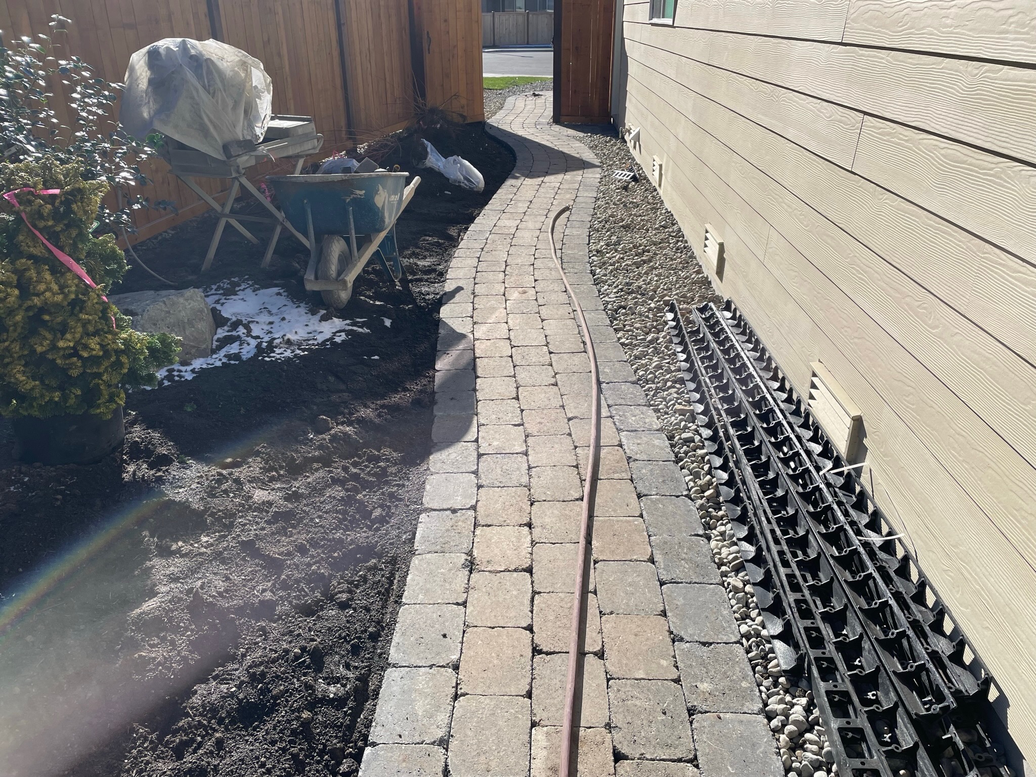 Brick pathway with evergreen plants at Todd's Nursery in Puyallup, WA, featuring a neat garden layout.