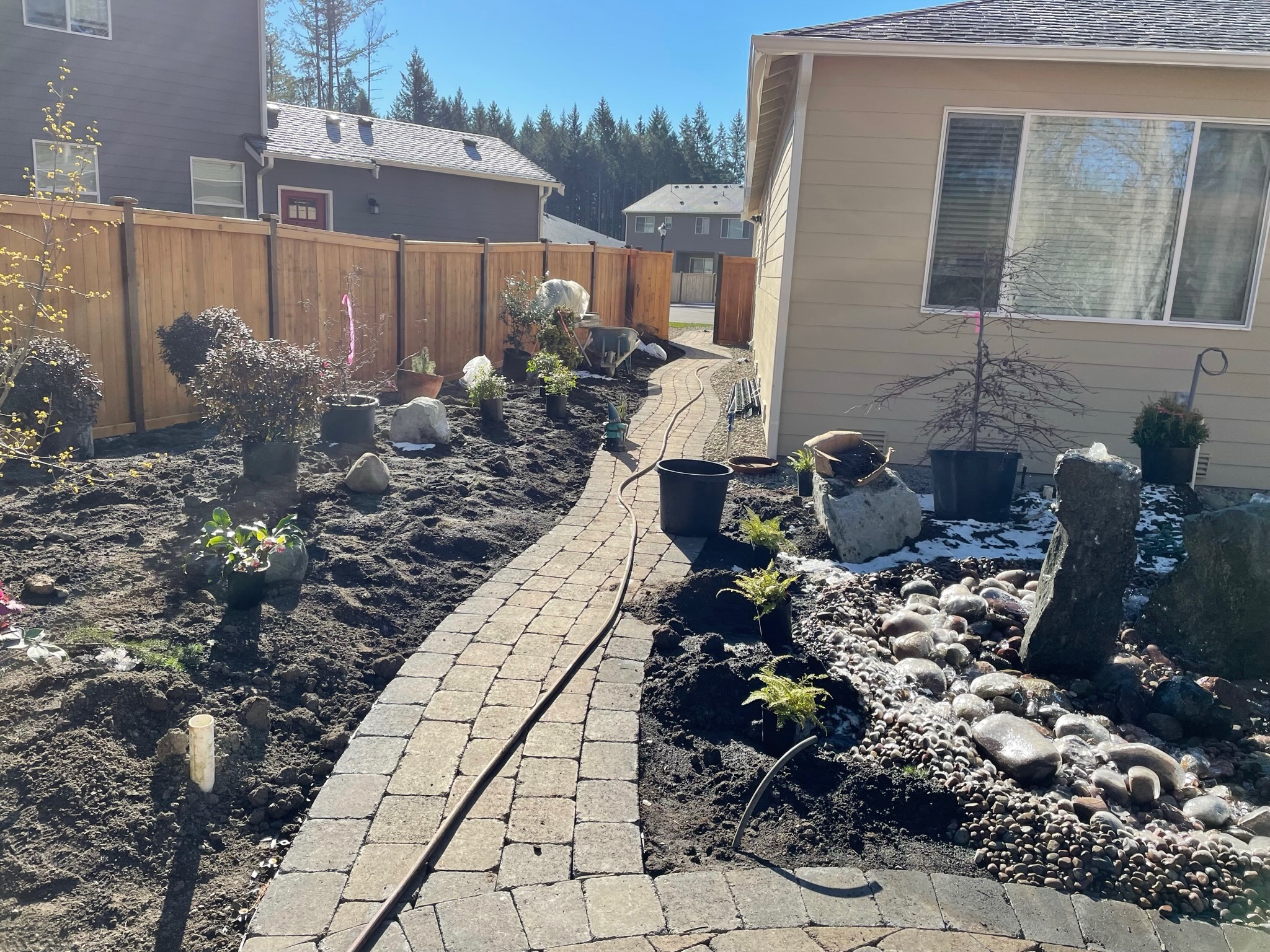 Landscaping project by Todd's Nursery in Puyallup featuring a stone path, young plants, and a wooden fence.