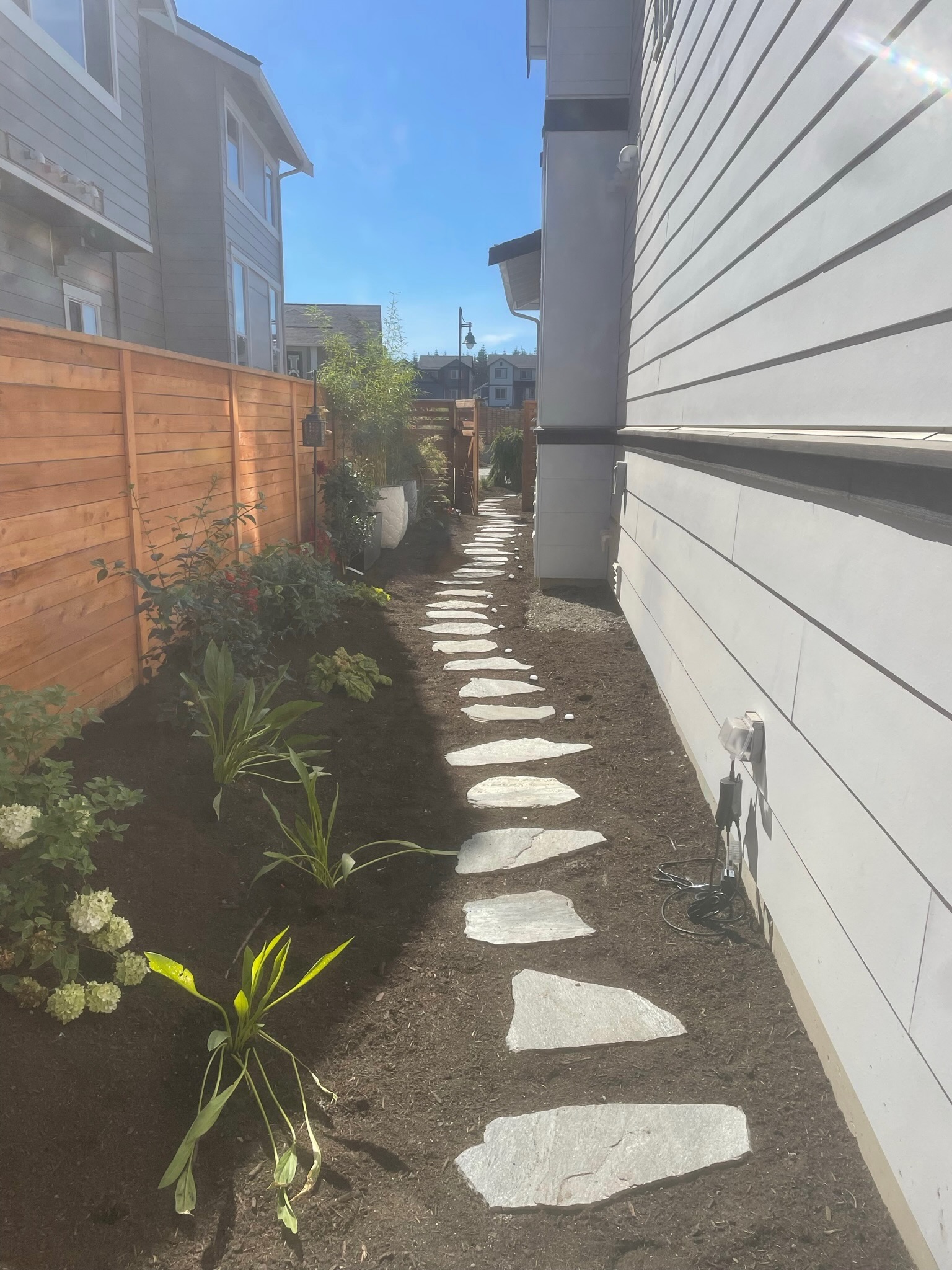 Stone pathway with hydrangeas and greenery by Todd's Nursery in Puyallup, WA